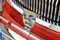 Austin Healey 3000 MK III CABRIO ISCRITTA REGISTRO ASI Czerwony - thumbnail 8
