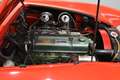 Austin Healey 3000 MK III CABRIO ISCRITTA REGISTRO ASI crvena - thumbnail 5