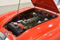 Austin Healey 3000 MK III CABRIO ISCRITTA REGISTRO ASI Red - thumbnail 3