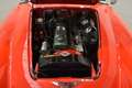 Austin Healey 3000 MK III CABRIO ISCRITTA REGISTRO ASI Rot - thumbnail 2