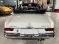 Mercedes-Benz 300 SE Cabriolet W 112 Bianco - thumbnail 22