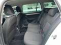 Skoda Octavia Wagon 1.4 tsi g-tec Executive 110cv UNICO PROPRIET Weiß - thumbnail 7