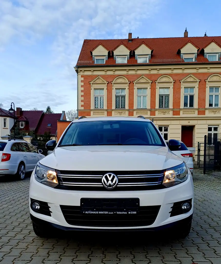 Volkswagen Tiguan Tiguan 1.4 TSI Trend&Fun*Klima*AHZV*Sitzheizung* Weiß - 2