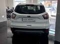 Ford Kuga Kuga 2.0 tdci Stealth s Bianco - thumbnail 5