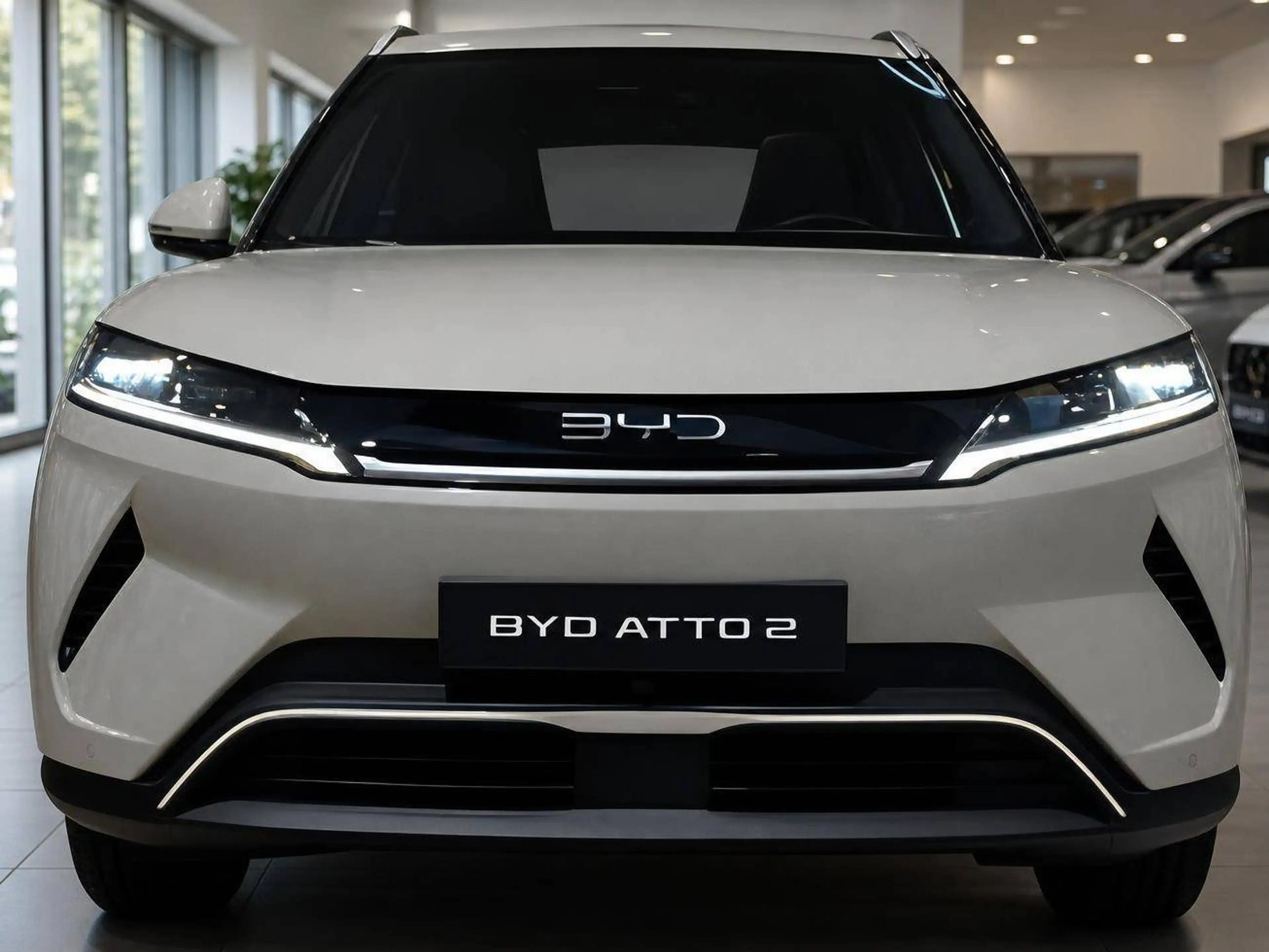 BYD Atto 2 Boost Nachlass 28% 45 kwh dt. Besteller *ggfs. zzgl. Bafa — photo 7