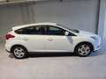 Ford Focus Focus IV  5p 1.0 ecoboost Plus s Bianco - thumbnail 8