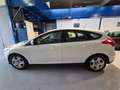 Ford Focus Focus IV  5p 1.0 ecoboost Plus s Bianco - thumbnail 7