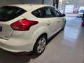 Ford Focus Focus IV  5p 1.0 ecoboost Plus s Bianco - thumbnail 4