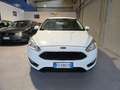 Ford Focus Focus IV  5p 1.0 ecoboost Plus s Bianco - thumbnail 1