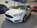 Ford Focus Focus IV  5p 1.0 ecoboost Plus s Bianco - thumbnail 3