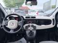 Fiat Panda Rock 4x4 Blau - thumbnail 7