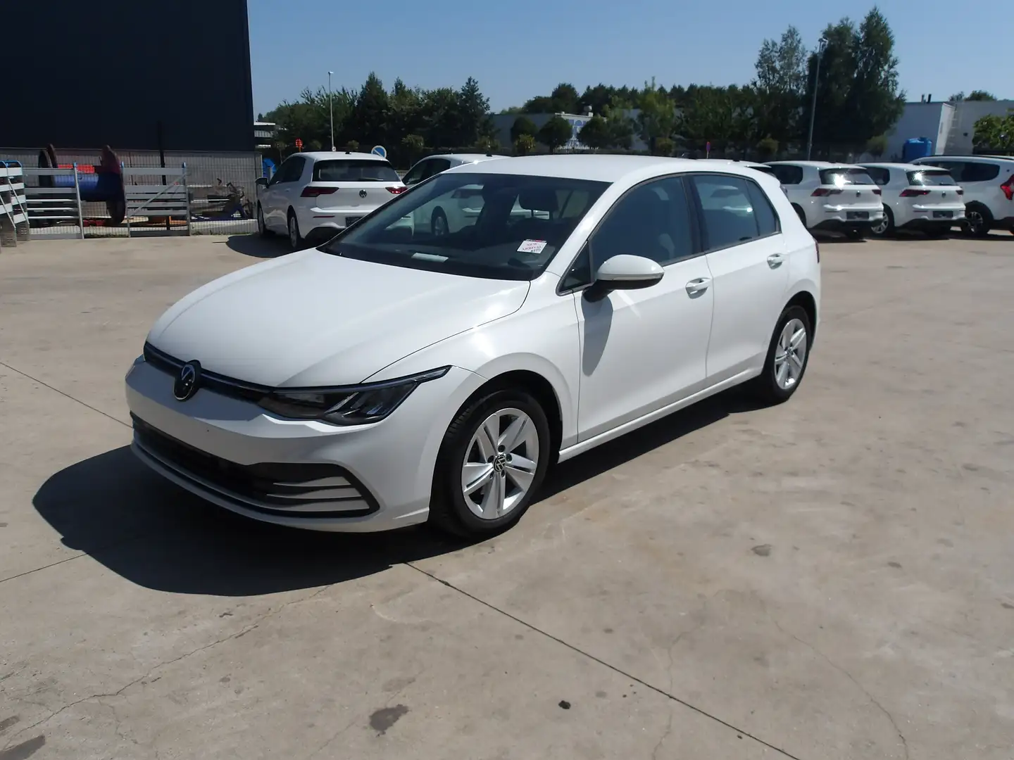 Volkswagen Golf 8 (Stock ID 91815) - 1