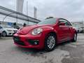Volkswagen Beetle VW The Beetle Trendline TSI Rouge - thumbnail 1