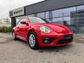 Volkswagen Beetle VW The Beetle Trendline TSI Rouge - thumbnail 2
