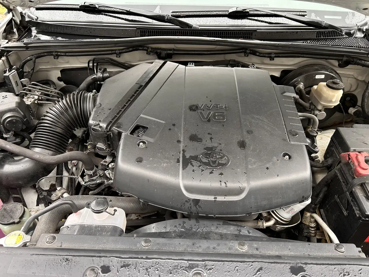 Toyota Tacoma снимка Toyota Tacoma