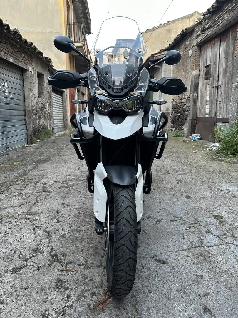 Triumph Tiger 900 GT - 1