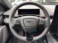 Ford Mustang Mach-E (Extended Range) Premium Navi Grigio - thumbnail 13