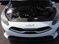 Kia Ceed / cee'd Ceed 1.5T DCT Ultimate Edition Navi Kamera ACC Blanc - thumbnail 20