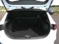 Kia Ceed / cee'd Ceed 1.5T DCT Ultimate Edition Navi Kamera ACC Blanc - thumbnail 6