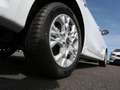 Kia Ceed / cee'd Ceed 1.5T DCT Ultimate Edition Navi Kamera ACC Blanc - thumbnail 5