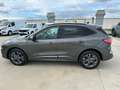 Ford Kuga Kuga 2.5 phev ST-Line 2wd 225cv cvt Grigio - thumbnail 5