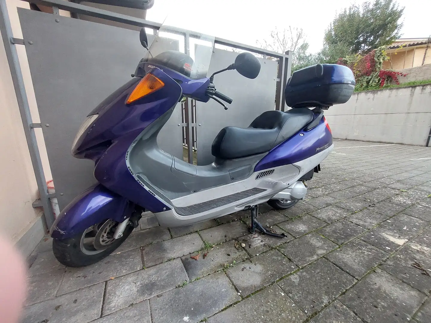 Honda Forza 250 foresight 250 Modrá - 2