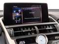 Lexus NX 300 300h Premium 2WD Argent - thumbnail 15