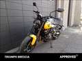 Triumph Trident 660 Abs Žlutá - thumbnail 12
