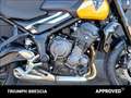 Triumph Trident 660 Abs Žlutá - thumbnail 10
