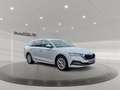 Skoda Octavia Combi 2.0 TDI Style Matrix 4xSHZ ACC AUT Weiß - thumbnail 5