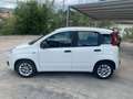 Fiat Panda 1.0 hybrid Easy s Bianco - thumbnail 7