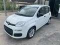 Fiat Panda 1.0 hybrid Easy s Bianco - thumbnail 1