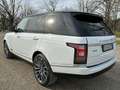 Land Rover Range Rover 4.4 sdV8 - PIU IVA 22% -PREZZO TOP - SOLO VIP Bianco - thumbnail 5