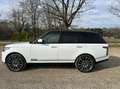Land Rover Range Rover 4.4 sdV8 - PIU IVA 22% -PREZZO TOP - SOLO VIP Bianco - thumbnail 2
