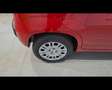 Fiat Panda 1.0 FireFly Hybrid Icon Rosso - thumbnail 16