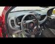 Fiat Panda 1.0 FireFly Hybrid Icon Rosso - thumbnail 6