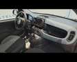 Fiat Panda 1.0 FireFly Hybrid Icon Rosso - thumbnail 13