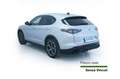 Alfa Romeo Stelvio Stelvio 2.2 Turbodiesel 210 CV AT8 Q4 Veloce Argent - thumbnail 6
