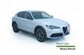 Alfa Romeo Stelvio Stelvio 2.2 Turbodiesel 210 CV AT8 Q4 Veloce Argent - thumbnail 3