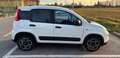 Fiat New Panda VAN MY21 STREET 1.0 Hybrid bijela - thumbnail 2