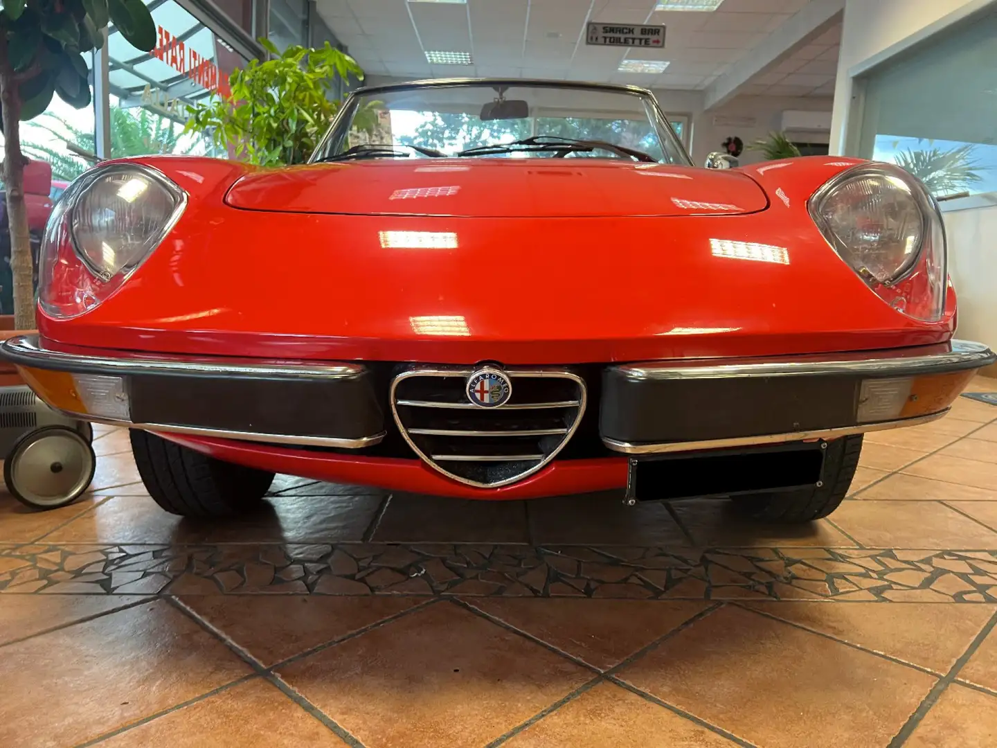 Alfa Romeo Spider DUETTO CODA TRONCA 1.3 Rouge - 2
