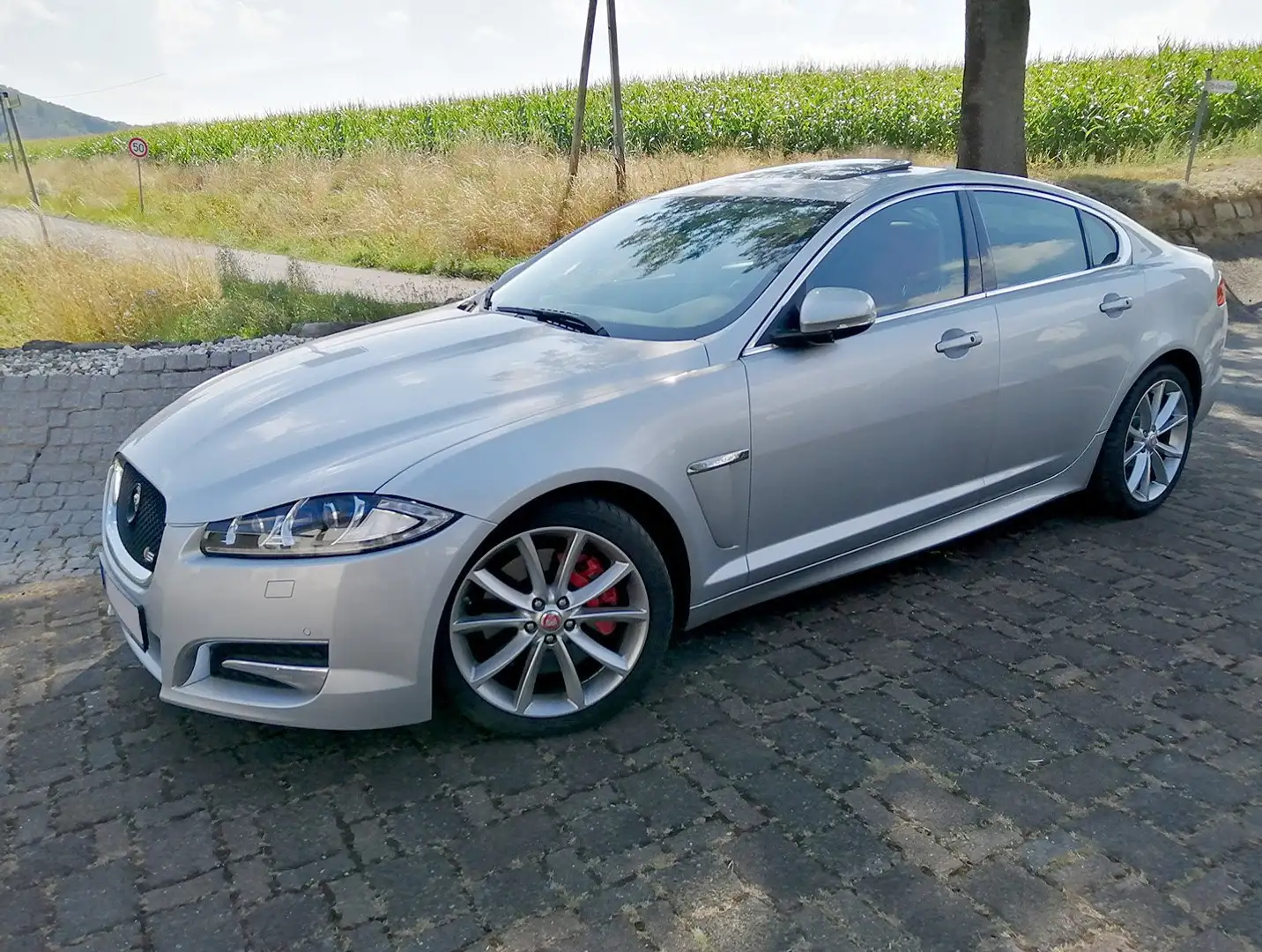 Jaguar XF XF 3.0 V6 Diesel S Plateado - 1