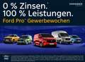 Ford Transit Custom 320 L1 H1 Kasten LKW Trail 125 KW Grijs - thumbnail 21