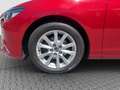 Mazda 6 Prime-Line AWD Rot - thumbnail 20
