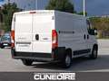 Fiat Ducato Ducato 28 2.3 MJT 120CV PC-TN Furgone Wit - thumbnail 7