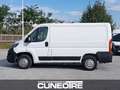 Fiat Ducato Ducato 28 2.3 MJT 120CV PC-TN Furgone Wit - thumbnail 4