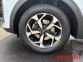 Kia Sportage 1.6 CRDI 48V DCT AWD Vision Komfort-Paket NAVI Tem Blanco - thumbnail 14