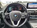BMW 520 d Limousine Standhzg adLED DrAssPlus HUD Hifi Blau - thumbnail 11