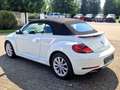 Volkswagen Beetle Beetle Cabrio 2.0 TSI Autom. Kamera, Freisprech Weiß - thumbnail 12