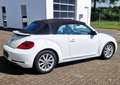 Volkswagen Beetle Beetle Cabrio 2.0 TSI Autom. Kamera, Freisprech Weiß - thumbnail 11
